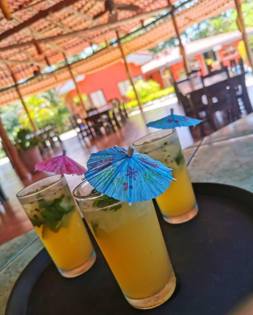 Pacific Paradise Resort Quepos Dış mekan fotoğraf